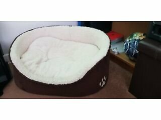 teddy oval dog bed